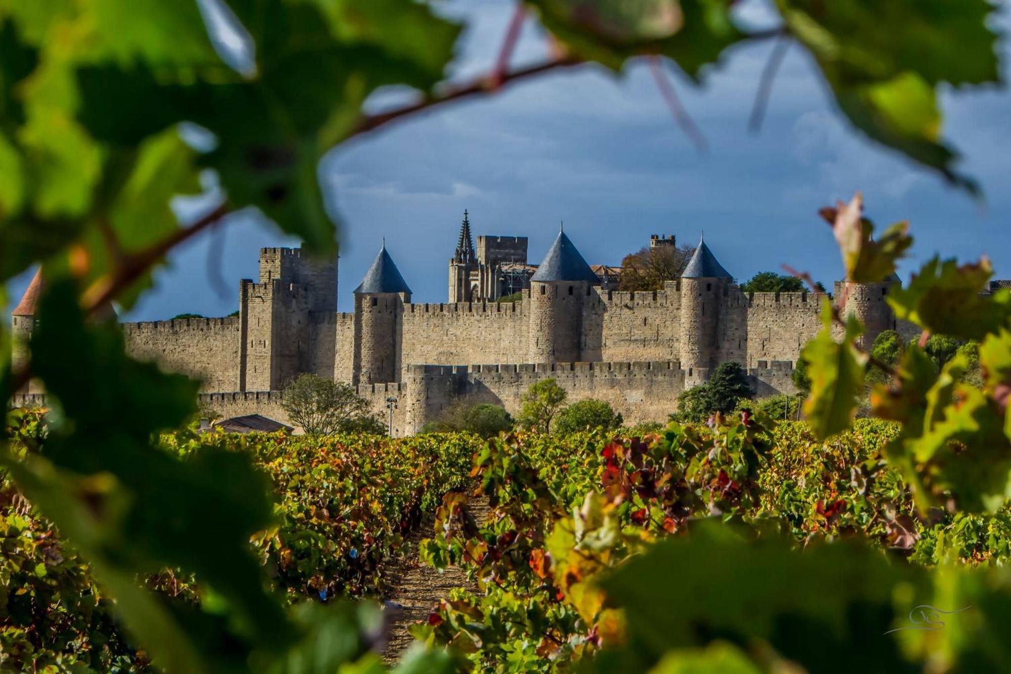 Domaine De Cantalauze Trèbes Exterior foto